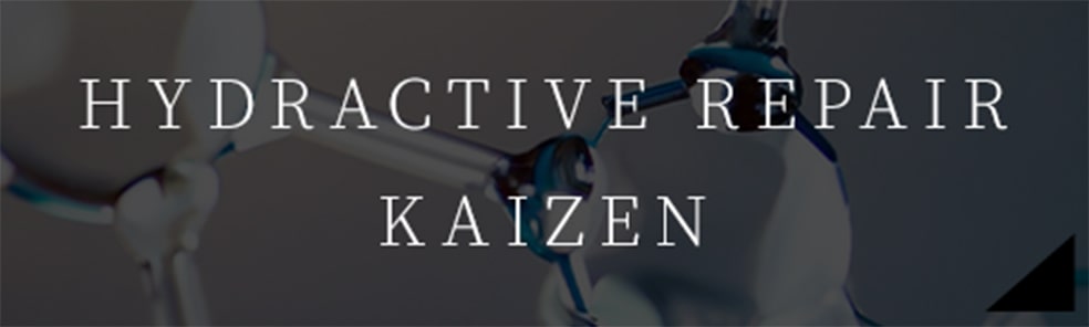 HYDRACTIVE REPAIR KAIZEN